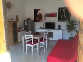 House Turi
