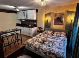 Forest Loft Studio - apartament nr 6