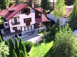 Transylvanian Villa
