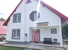 Casa Flavius