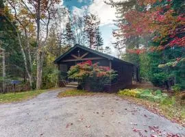Relaxing two-bedroom dog-friendly cabin with fireplace, AC, hiking & fun