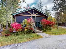 Dog-Friendly Cabin with Kitchen, Firepit, AC, GYM, Ping-Pong & Aun Awaits