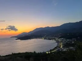 Solemare