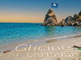 Glicine