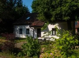 Siedlisko Dzika Kaczka
