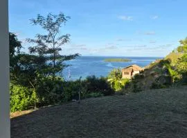 Fare Hanihau