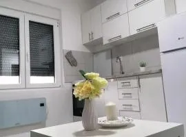 Apartman Rajković