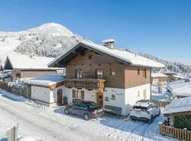 Haus David
