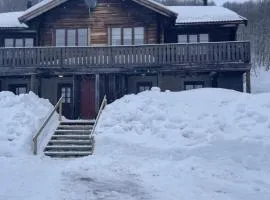9 person holiday home in Tänndalen