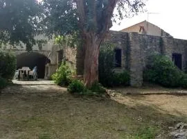 Bergerie traditionnelle en pierre, Lozari Balagne Corsica