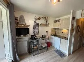 Studio fonctionnel, vue montagne - 4 pers. - FR-1-165A-219