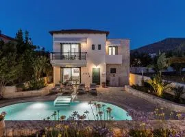 Villa Dafni with Private Pool BBQ and Free Parking