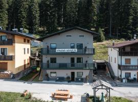 Chalet Strui, hotel in Danta