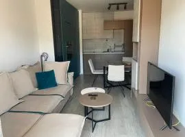 City Center Apartment with Mountain view