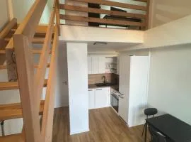 Central Apartments Opava - Design