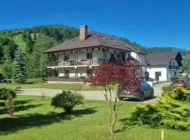 Pensiunea Irina