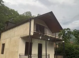 Cottages in Borjomi