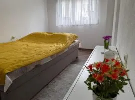 Eva apartment 2