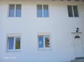 Radovici Family House
