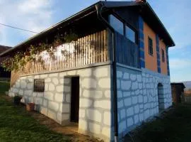Domaćinstvo Nikolić-Milicevo Selo