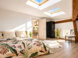 Old Town Loft 11 - stayolomouc CZ