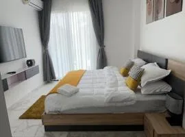 Luxurious One bedroom apartment in Cantonments - 233 BOULEVARD
