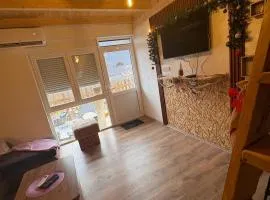 Montenegro pines