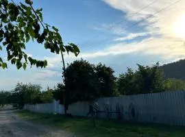 Zeynal Guest House