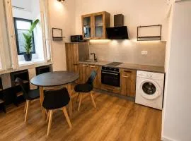 Cozy 2-bedroom apartment in the heart of the historic center of Montluon
