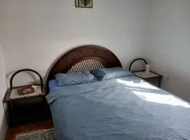 Аpartman CACA