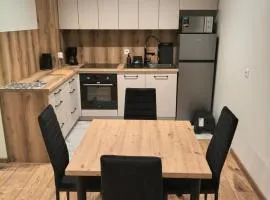 Apartament Centrum Matki Polki II