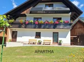 Apartma in soba pri Bregarju