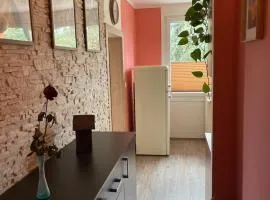 Útulný, plně vybavený byt v Plané nad Lužnicí