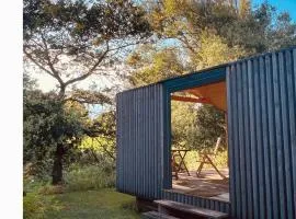 Tinyhouse 206
