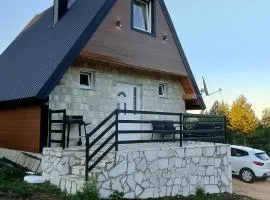 House Vasilije