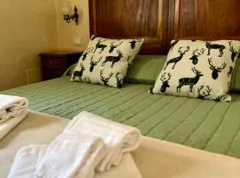 B&B Animali Selvaggi
