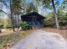 Quaint studio cabin near hiking trails with gym & pool table - dog-friendly