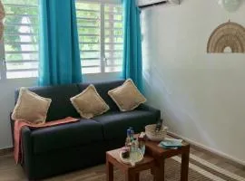 Charmant bungalow T2 avec grand jardin et accès privé plage