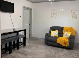 Lovely entire apartment in Tyler