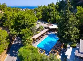 Casa Trees Hotel
