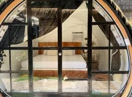 Cocoon De Coron