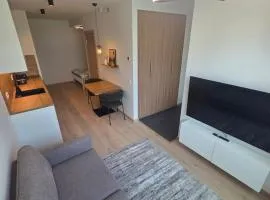 Brooklyn Style Apartment with Private Entrance