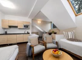 Anenský Apartmán C303 s wellness , O2 TV a stabilní rychlou WIFI, s možností dokoupení bufetových snídaní a s možností dokoupení masáží