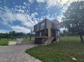 Zeleni Mir