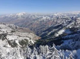 The Cedar Trail Hotel & Restaurant I Family Events I Sky Bonfire l Lift l Power Backup l Free Parking l Kufri Shimla By Exotic Stays