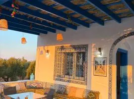 Le Paradis des Oliviers - La Maison Bleue