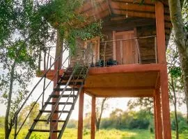 Vercour Tree House Cabana Sigiriya