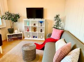 Bright two-bedroom apartment with lake view