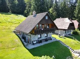 Private Forest Cabin with Epic View