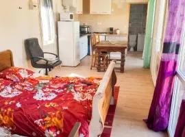 Studio confortable à Bellerive-sur-Allier 30 m² avec jardin
